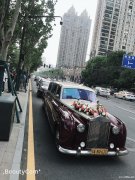 大唐朝租车出租豪华婚车车队，商务租车，高档接机送站等