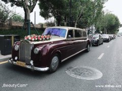 大唐朝出租婚车车队、商务车、旅游包车、企业单位长期租车