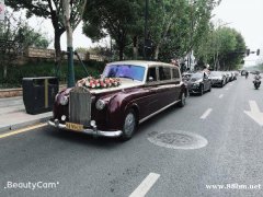 武汉大唐朝专业婚车租赁公司，知名租车公司车型丰富随心选