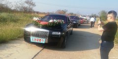 婚车租赁公司出租豪华婚车车队价格优惠服务周到