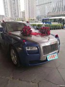 武汉婚礼车队租赁租豪华高端主婚车到大唐朝租车公司