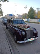 武汉婚车租劳斯莱斯古斯特宾利奔驰宝马等豪华婚车到大唐朝