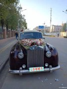 武汉婚车公司专业提供豪华婚车高端婚车清一色婚车租赁