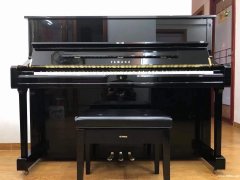 深圳坑梓钢琴租赁