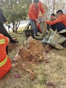 李沧专业清洗管道低价抽粪